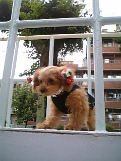 2006-07-02 21:10:59