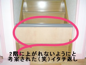 イタチ返し メロメロめろんのお部屋 楽天ブログ