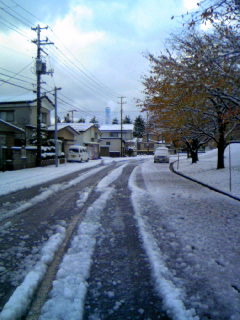 dc112230.JPG