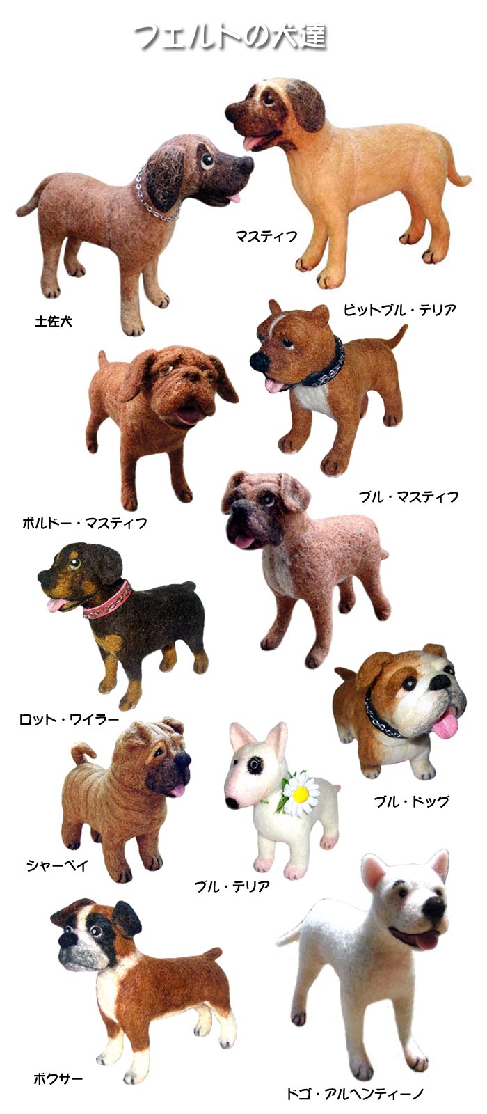 かって闘犬と呼ばれて恐れられていた犬達。 DOG HOUSE 楽天ブログ