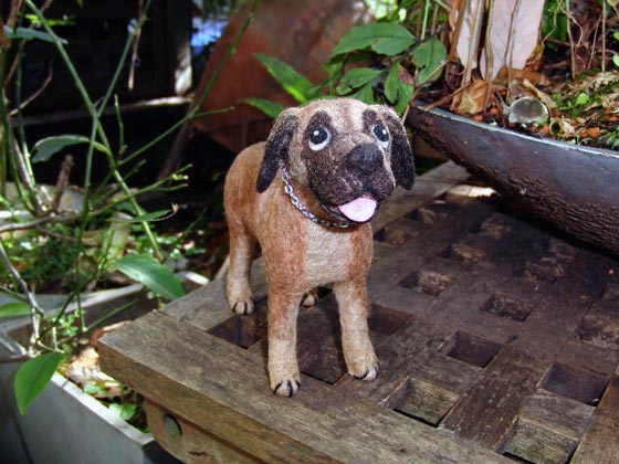 闘犬としてつくられた 日本初の犬 Dog House 楽天ブログ