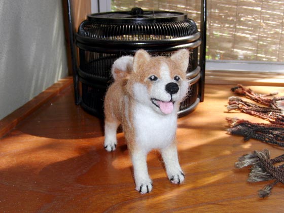 アメリカで改良された日本の「忠犬ハチ公」！ | DOG HOUSE