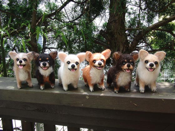 今や日本で人気ｎｏ2の世界一小さい犬 Dog House 楽天ブログ