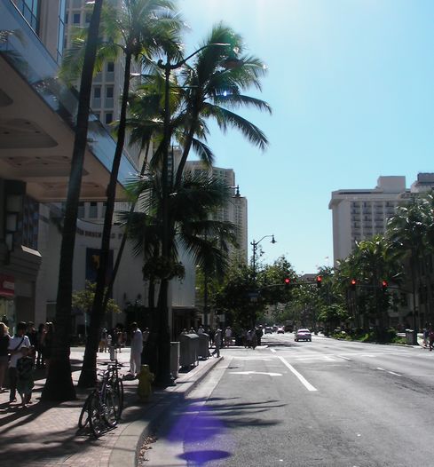 010kalakaua1.jpg