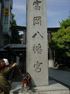 富岡八幡1