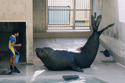 みなぞう君 | 感動写真日記 侍大将まこべえが行く - 楽天ブログ