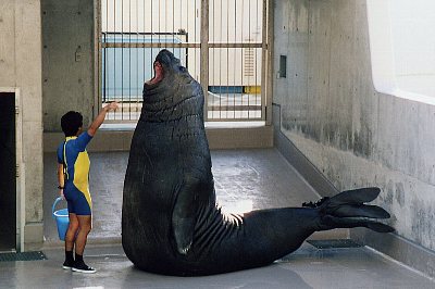 みなぞう君 | 感動写真日記 侍大将まこべえが行く - 楽天ブログ