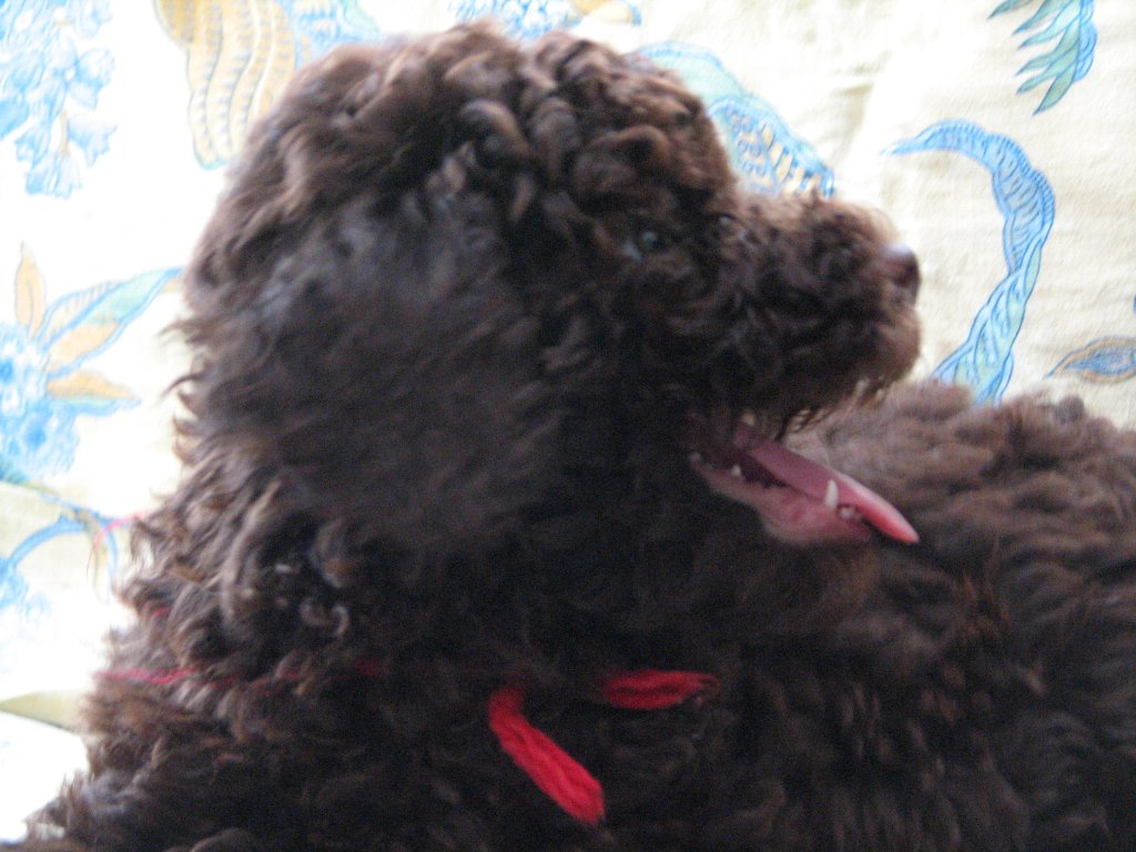 090906_060.jpg