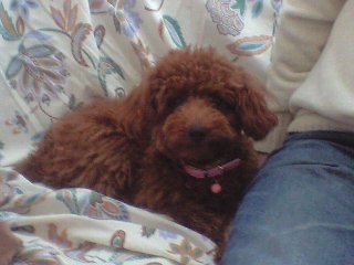 090228_003.jpg
