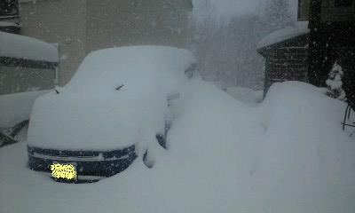 090208_1010~00011.JPG