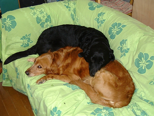 DSCF0001.JPG