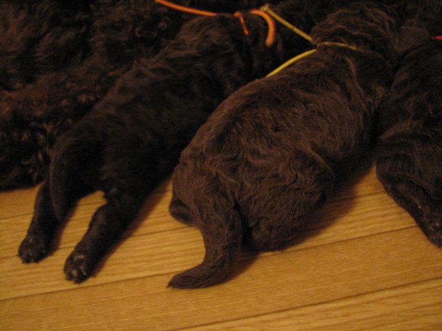 090710_004.jpg
