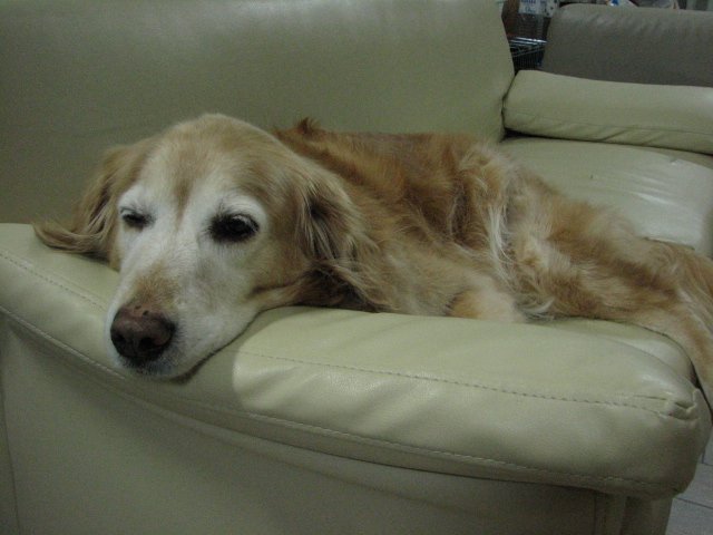 090422_000.jpg