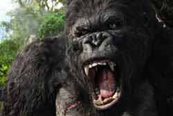 kingkong3