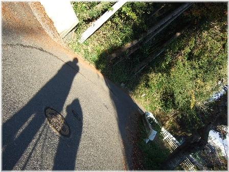 散歩道.JPG