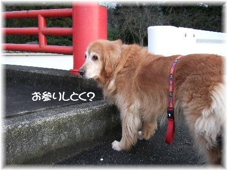 お参り.JPG