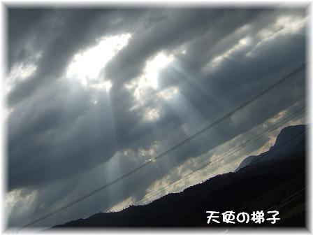 天使の梯子.JPG