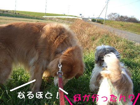 なるほど!.JPG