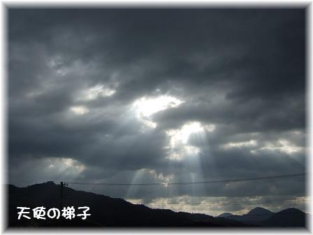 天使の梯子1.JPG