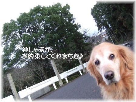 約束.JPG