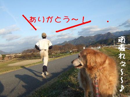 頑張れ~♪.JPG