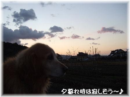 夕暮れ.JPG