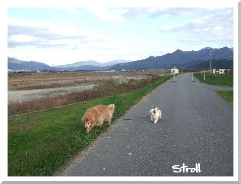 Stroll77.JPG