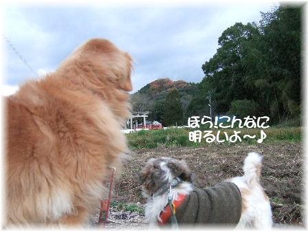 夕暮れ2.JPG