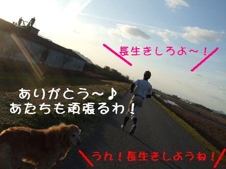 長生き.JPG
