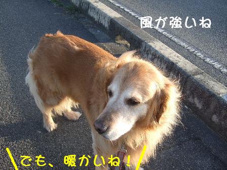 風が強いね.JPG