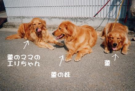 エリママと一緒.JPG