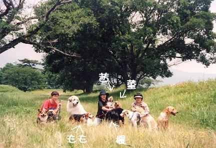 お友達.JPG