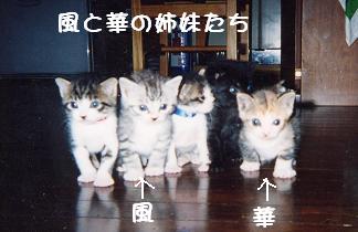 姉妹.JPG