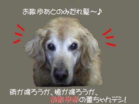 お散歩命.JPG