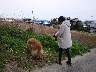 ぺちゃと菫.jpg