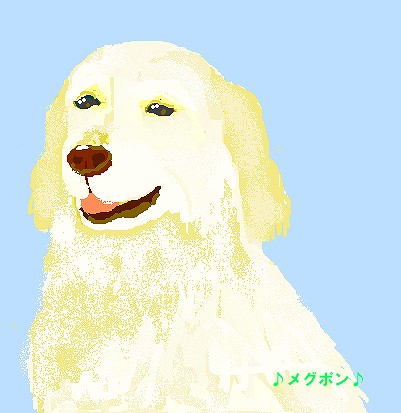 メグポン2.jpg