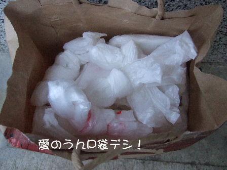 愛のうんP袋.JPG
