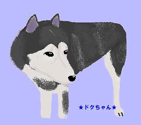ドク.jpg