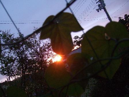 夕陽.JPG