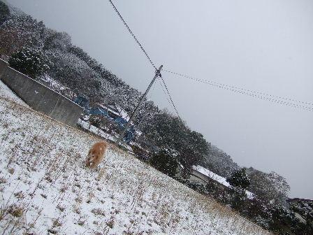 雪0.JPG