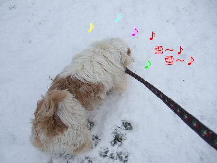 雪1.JPG