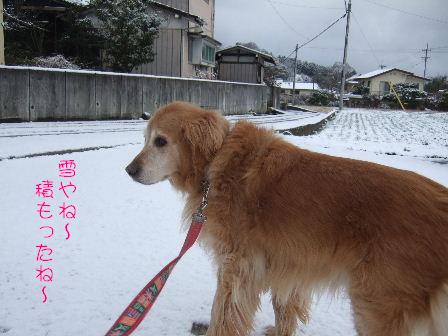 雪3.JPG