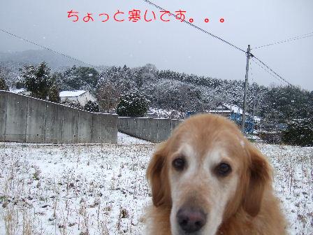 雪4.JPG