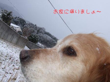 雪5.JPG