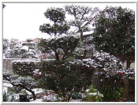 雪7.JPG