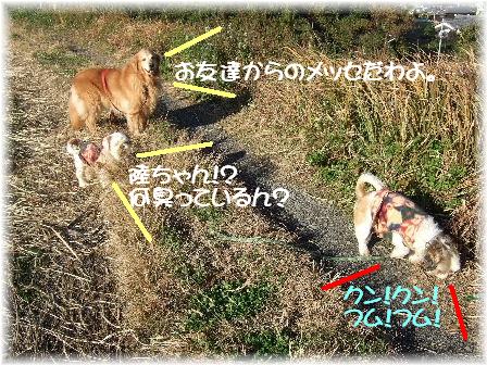 メッセ.JPG