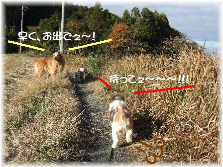 待って.JPG