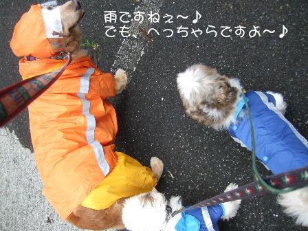 カッパ.JPG