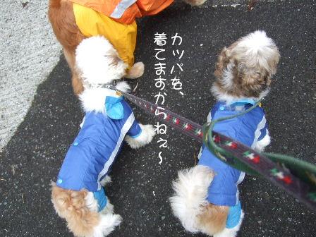 カッパ1.JPG