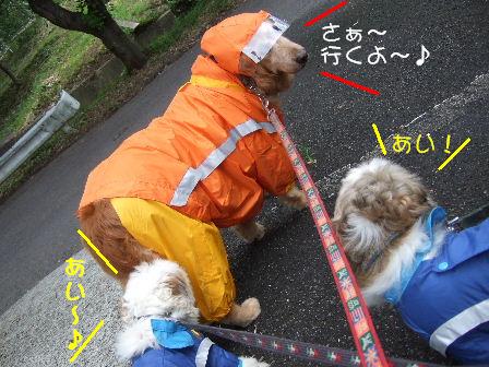 カッパ2.JPG